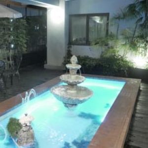 池の照明・噴水 池の照明・噴水