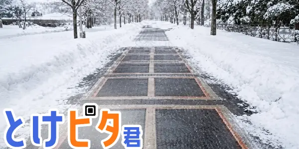とけピタ君