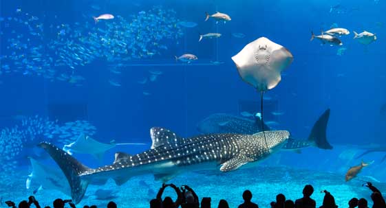 水族館